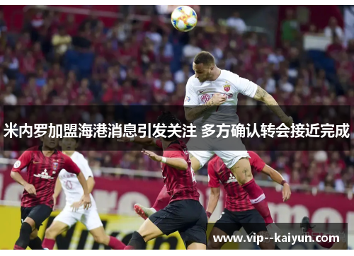 米内罗加盟海港消息引发关注 多方确认转会接近完成 米内罗加盟海港消息引发关注 多方确认转会接近完成