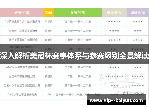 深入解析美冠杯赛事体系与参赛级别全景解读