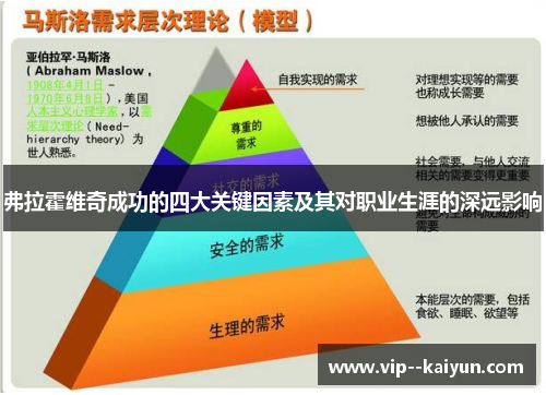 弗拉霍维奇成功的四大关键因素及其对职业生涯的深远影响